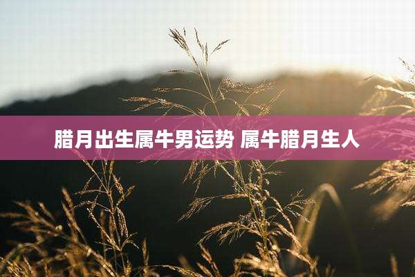 腊月出生属牛男运势 属牛腊月生人