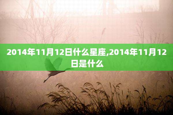 2014年11月12日什么星座,2014年11月12日是什么