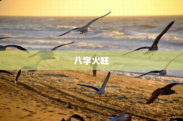 八字火旺