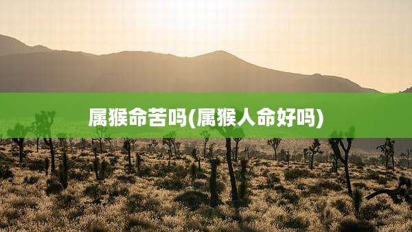 属猴命苦吗(属猴人命好吗)