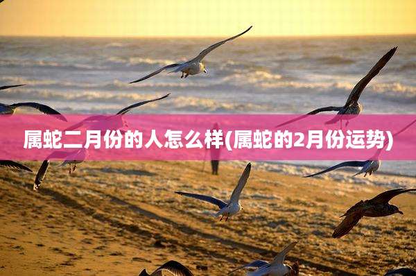 属蛇二月份的人怎么样(属蛇的2月份运势)