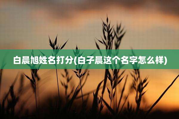 白晨旭姓名打分(白子晨这个名字怎么样)