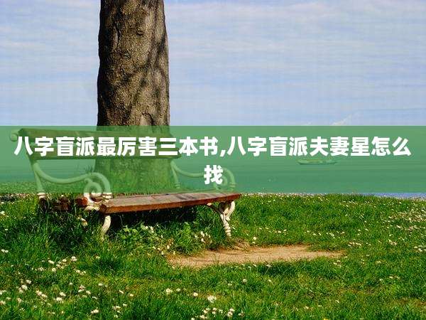 八字盲派最厉害三本书,八字盲派夫妻星怎么找