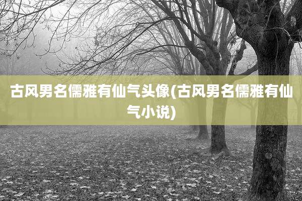 古风男名儒雅有仙气头像(古风男名儒雅有仙气小说)