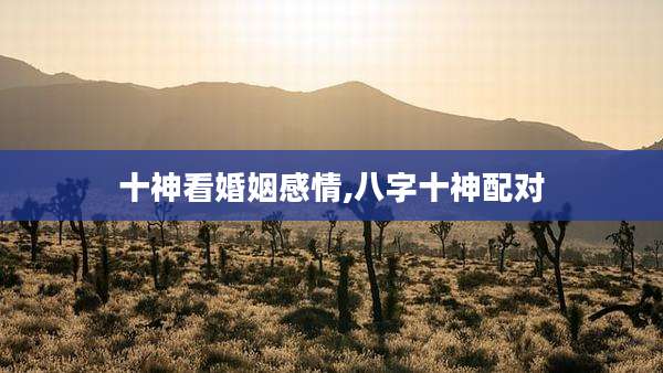 十神看婚姻感情,八字十神配对
