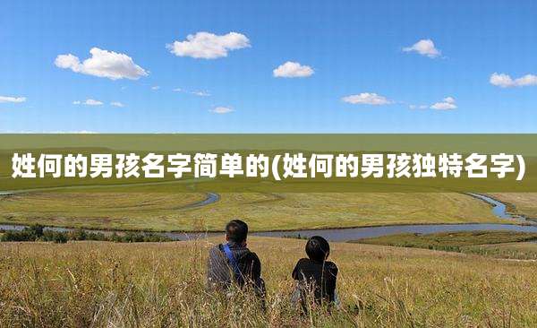 姓何的男孩名字简单的(姓何的男孩独特名字)