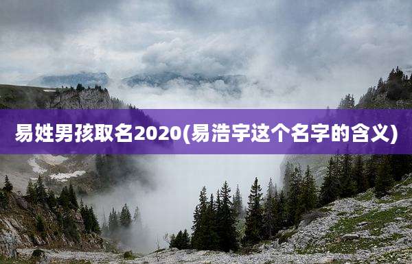 易姓男孩取名2020(易浩宇这个名字的含义)