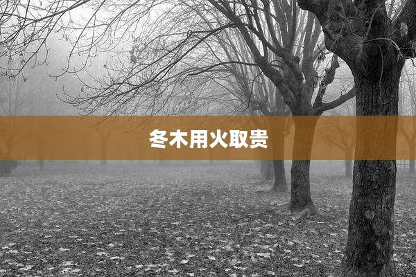 冬木用火取贵