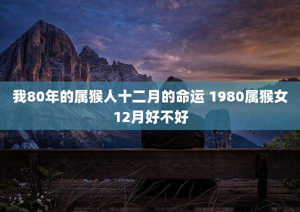 我80年的属猴人十二月的命运 1980属猴女12月好不好