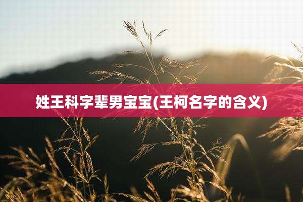 姓王科字辈男宝宝(王柯名字的含义)