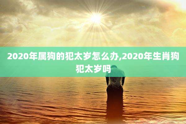 2020年属狗的犯太岁怎么办,2020年生肖狗犯太岁吗