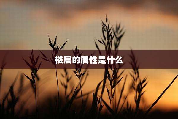 楼层的属性是什么