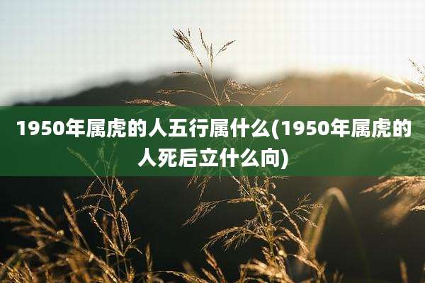 1950年属虎的人五行属什么(1950年属虎的人死后立什么向)