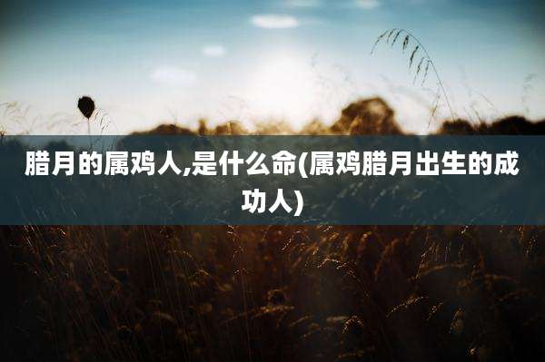 腊月的属鸡人,是什么命(属鸡腊月出生的成功人)
