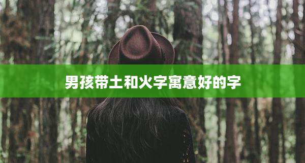 男孩带土和火字寓意好的字