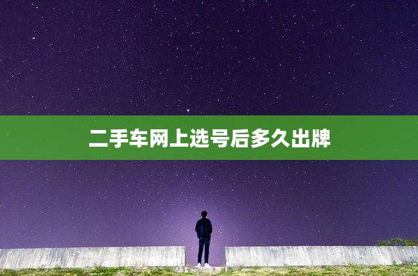二手车网上选号后多久出牌