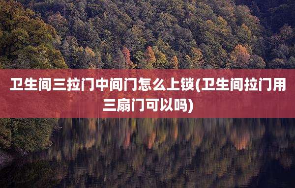 卫生间三拉门中间门怎么上锁(卫生间拉门用三扇门可以吗)