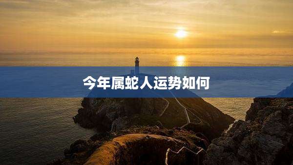 今年属蛇人运势如何