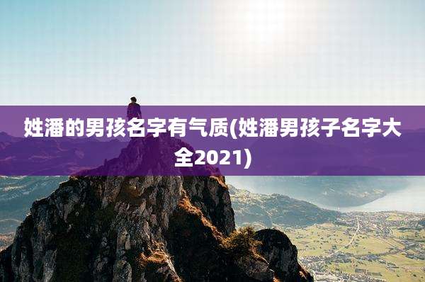 姓潘的男孩名字有气质(姓潘男孩子名字大全2021)