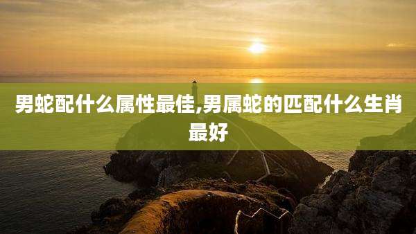 男蛇配什么属性最佳,男属蛇的匹配什么生肖最好
