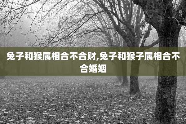 兔子和猴属相合不合财,兔子和猴子属相合不合婚姻