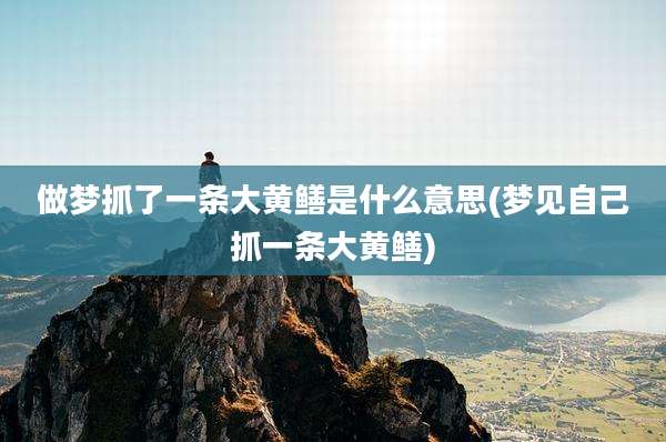 做梦抓了一条大黄鳝是什么意思(梦见自己抓一条大黄鳝)