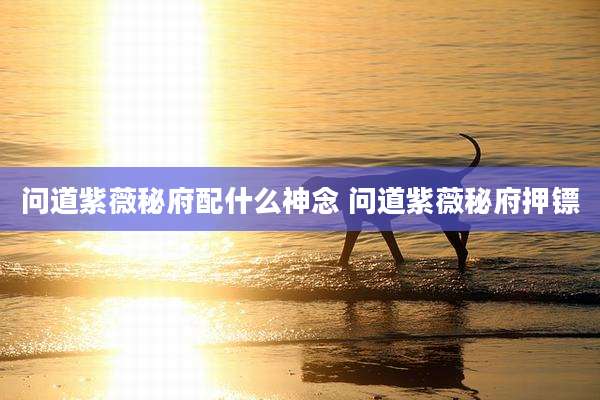 问道紫薇秘府配什么神念 问道紫薇秘府押镖
