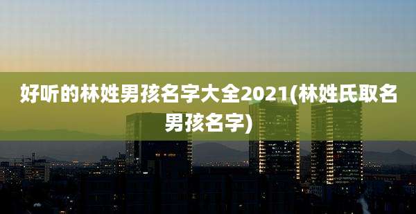 好听的林姓男孩名字大全2021(林姓氏取名男孩名字)