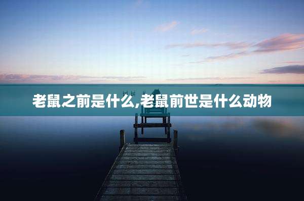 老鼠之前是什么,老鼠前世是什么动物