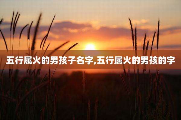 五行属火的男孩子名字,五行属火的男孩的字