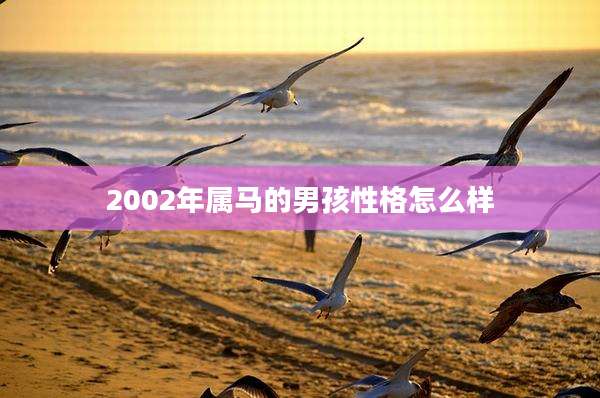 2002年属马的男孩性格怎么样