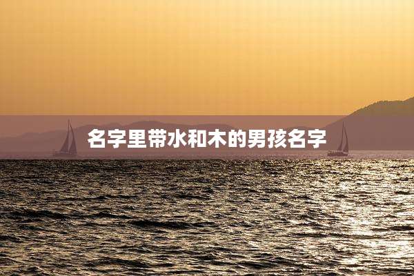 名字里带水和木的男孩名字
