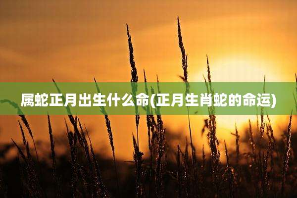 属蛇正月出生什么命(正月生肖蛇的命运)