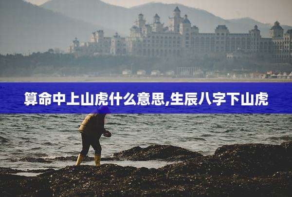 算命中上山虎什么意思,生辰八字下山虎