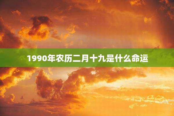 1990年农历二月十九是什么命运