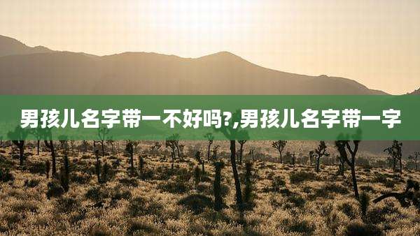 男孩儿名字带一不好吗?,男孩儿名字带一字