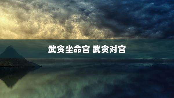 武贪坐命宫 武贪对宫
