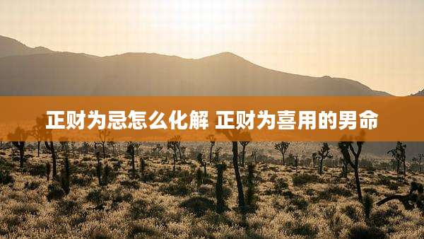 正财为忌怎么化解 正财为喜用的男命