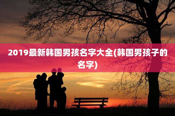 2019最新韩国男孩名字大全(韩国男孩子的名字)
