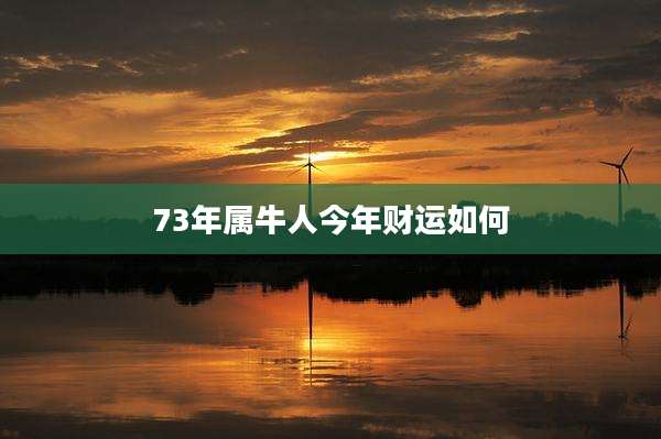 73年属牛人今年财运如何