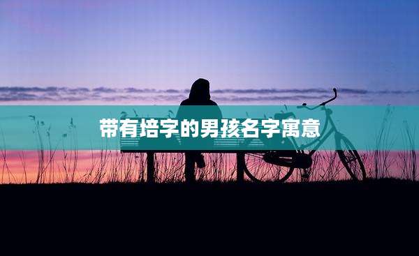带有培字的男孩名字寓意