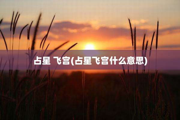 占星 飞宫(占星飞宫什么意思)