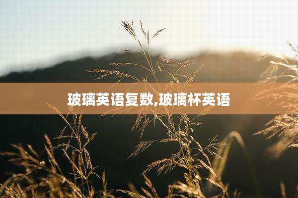 玻璃英语复数,玻璃杯英语
