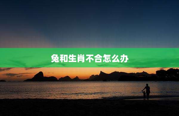 兔和生肖不合怎么办