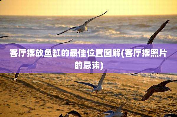 客厅摆放鱼缸的最佳位置图解(客厅摆照片的忌讳)
