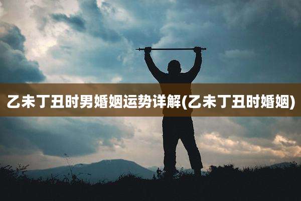 乙未丁丑时男婚姻运势详解(乙未丁丑时婚姻)