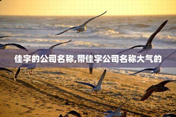 佳字的公司名称,带佳字公司名称大气的