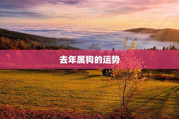 去年属狗的运势