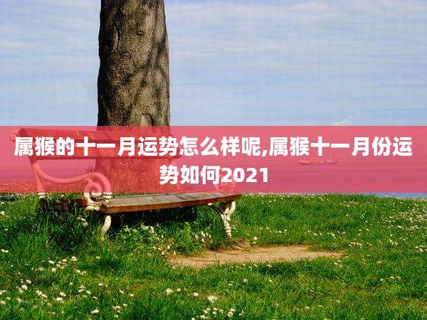 属猴的十一月运势怎么样呢,属猴十一月份运势如何2021