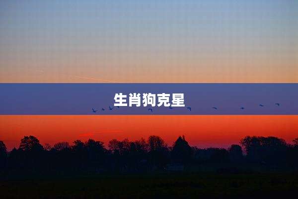 生肖狗克星